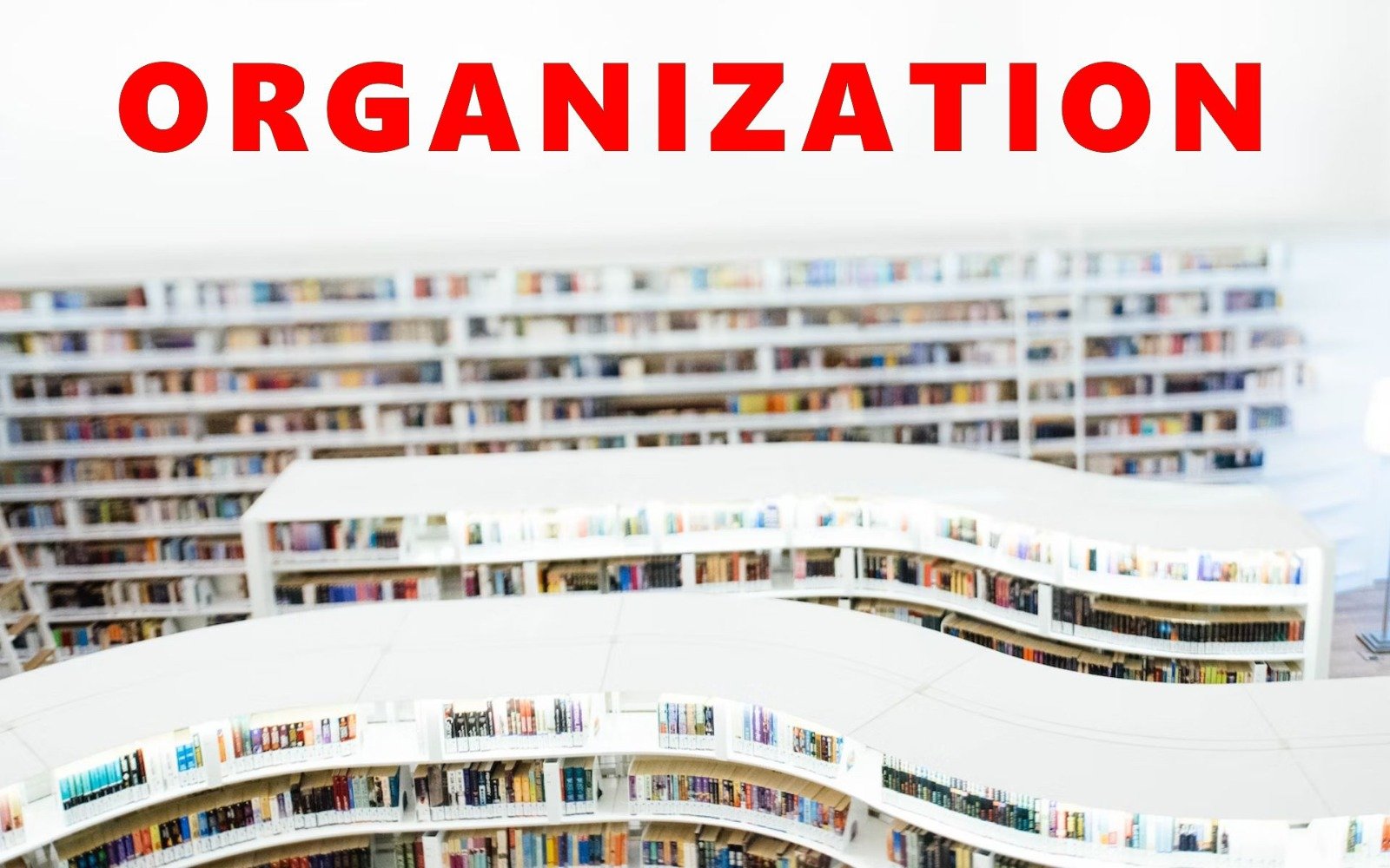 Organization